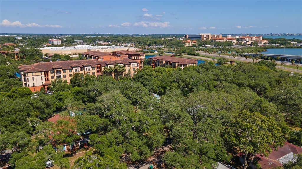 出租: $2,900 (3 贝兹, 2 浴室, 1414 平方英尺)