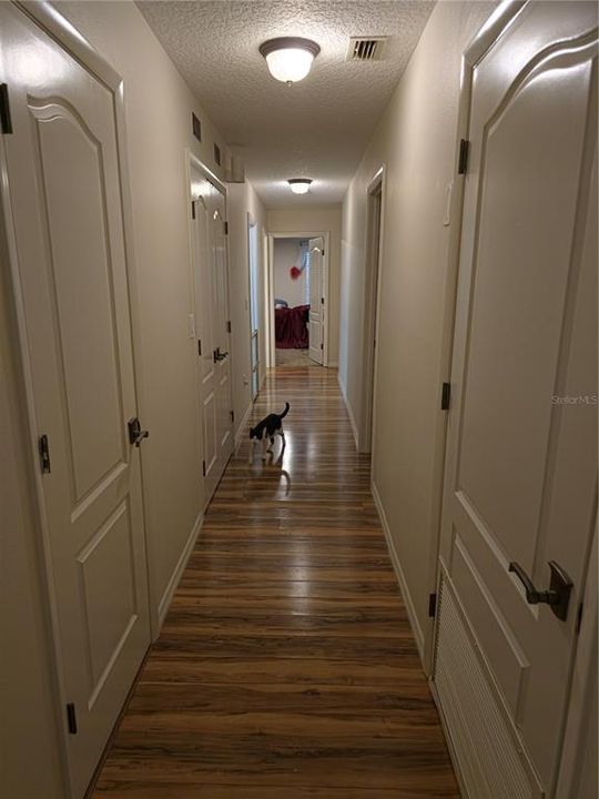 На продажу: $365,000 (3 спален, 2 ванн, 2280 Квадратных фут)