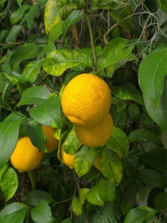 На продажу: $365,000 (3 спален, 2 ванн, 2280 Квадратных фут)