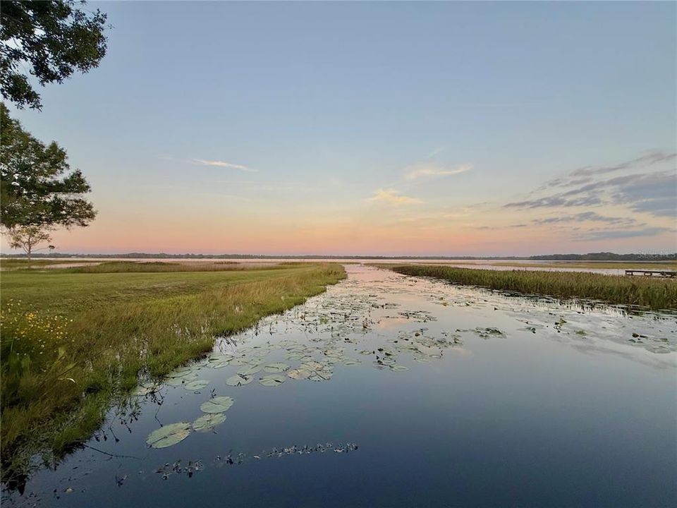 На продажу: $499,999 (2 спален, 2 ванн, 1332 Квадратных фут)