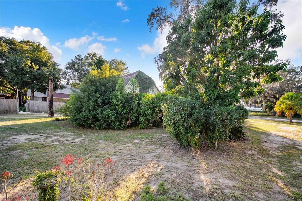 待售: $249,000 (3 贝兹, 1 浴室, 1590 平方英尺)