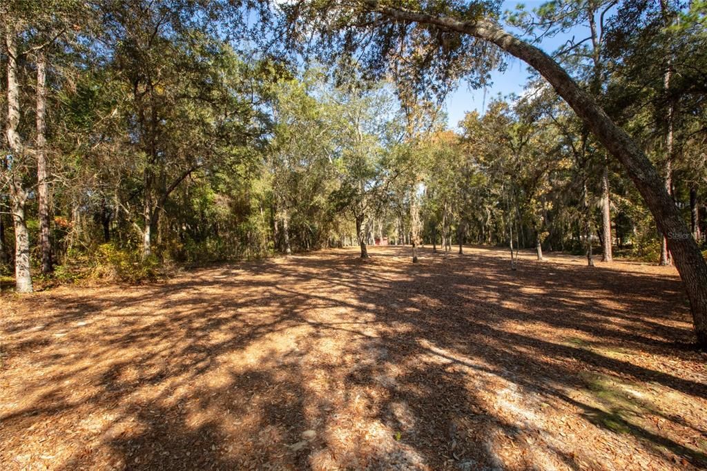 For Sale: $465,000 (3 beds, 2 baths, 2158 Square Feet)