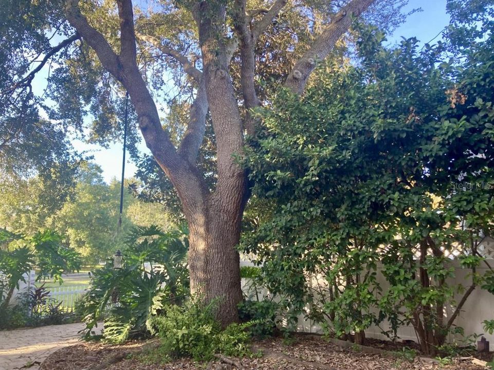 For Sale: $475,000 (3 beds, 2 baths, 1846 Square Feet)