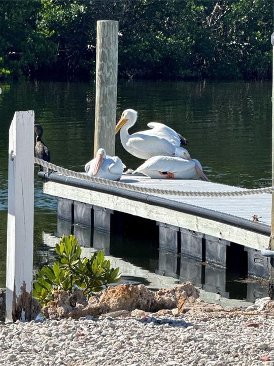 For Sale: $185,000 (1 beds, 1 baths, 658 Square Feet)