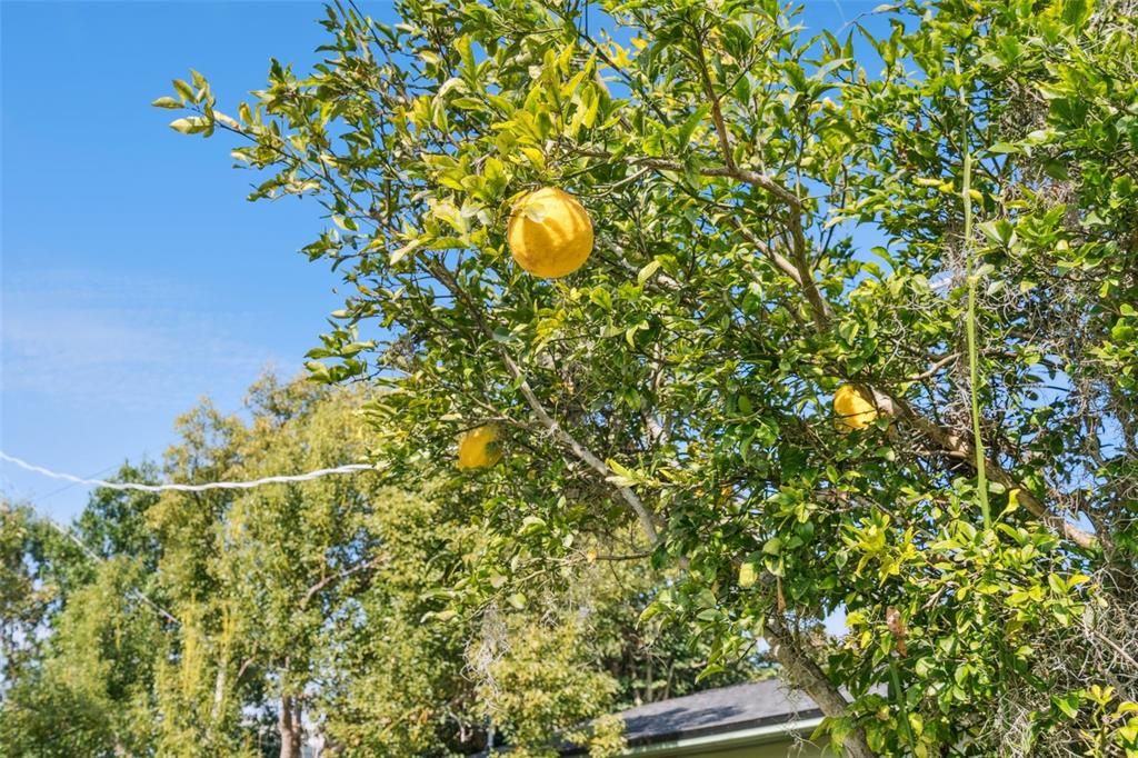 For Sale: $425,000 (2 beds, 1 baths, 1128 Square Feet)