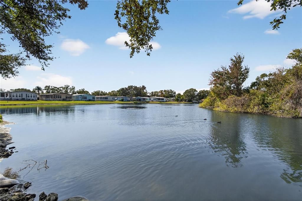 待售: $200,000 (3 贝兹, 2 浴室, 1509 平方英尺)