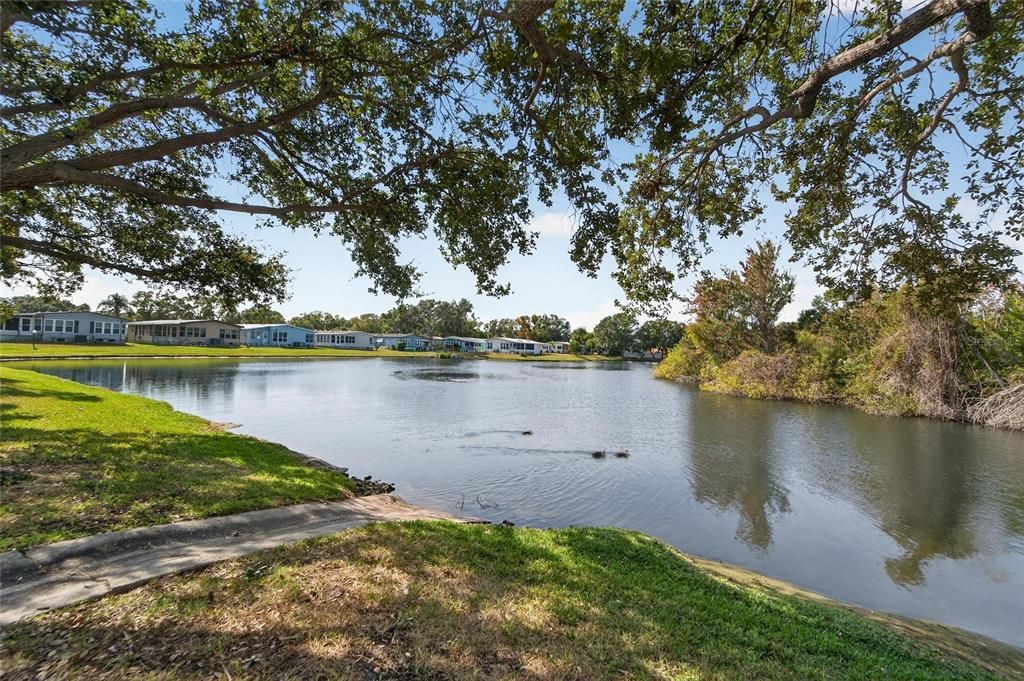 待售: $200,000 (3 贝兹, 2 浴室, 1509 平方英尺)