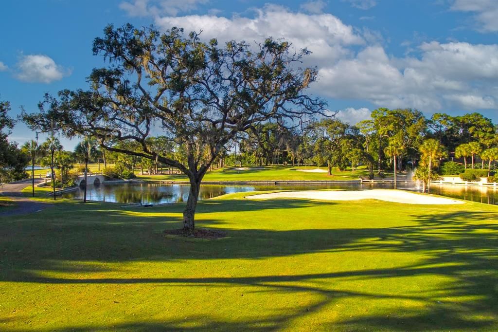 На продажу: $299,000 (3 спален, 2 ванн, 2010 Квадратных фут)