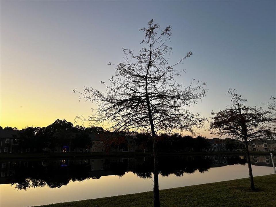 For Sale: $199,999 (2 beds, 2 baths, 1147 Square Feet)