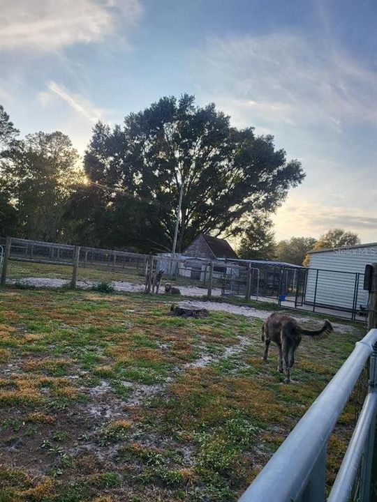 Active With Contract: $310,000 (4 beds, 2 baths, 1848 Square Feet)