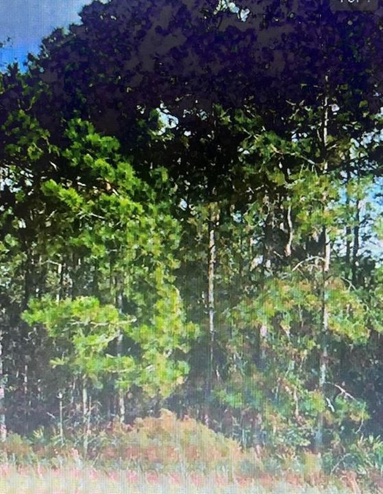 For Sale: $200,000 (5.00 acres)