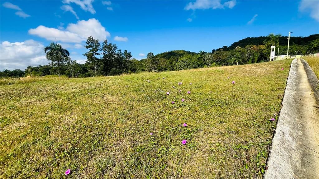 En Venta: $85,000 (0.02 acres)