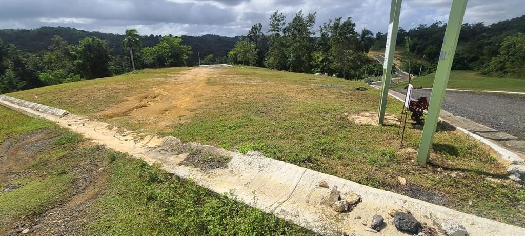 En Venta: $85,000 (0.02 acres)