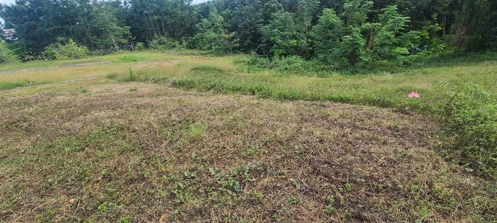 En Venta: $85,000 (0.02 acres)