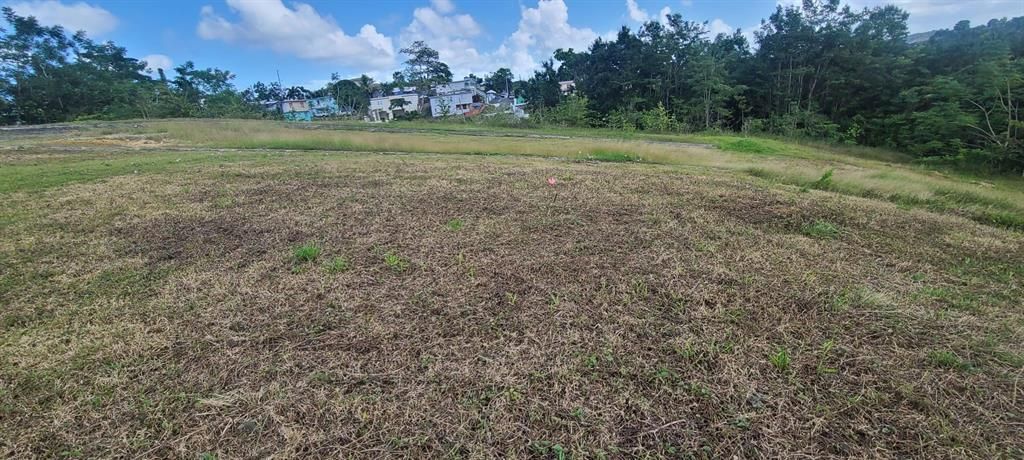 En Venta: $85,000 (0.02 acres)