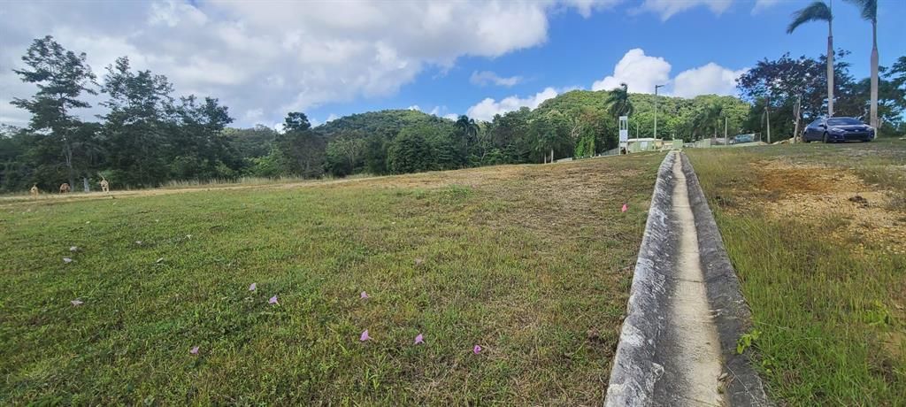 En Venta: $85,000 (0.02 acres)