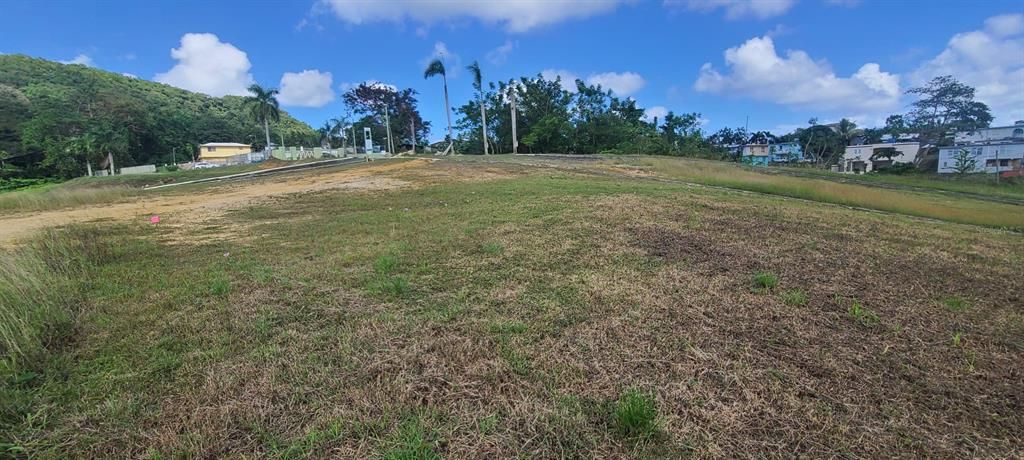 En Venta: $85,000 (0.02 acres)