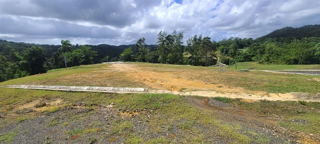 En Venta: $85,000 (0.02 acres)