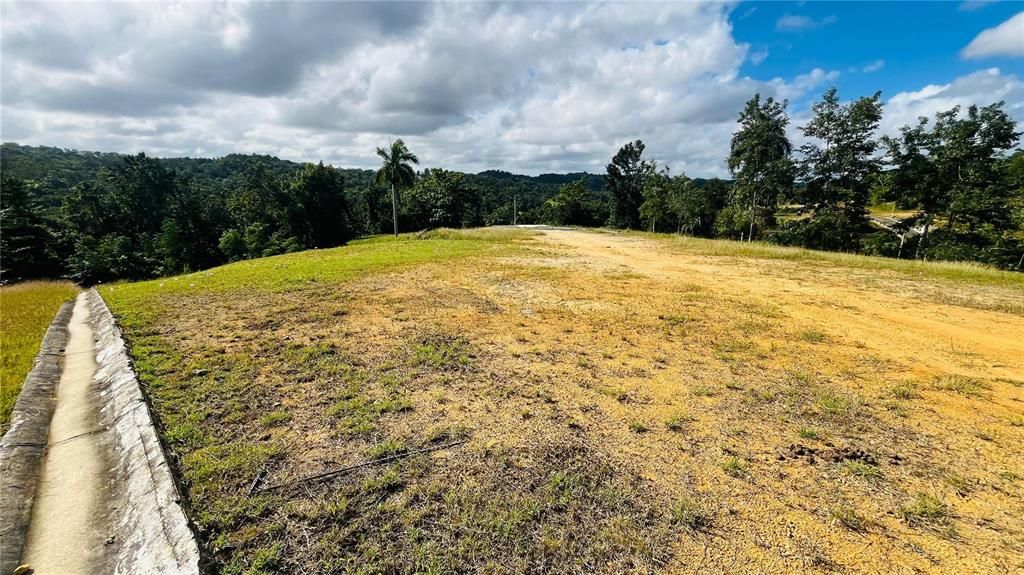 En Venta: $85,000 (0.02 acres)