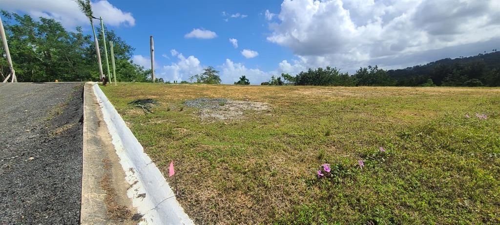 En Venta: $85,000 (0.02 acres)