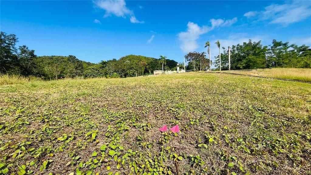 En Venta: $85,000 (0.02 acres)