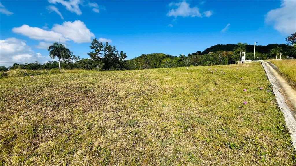 En Venta: $85,000 (0.02 acres)