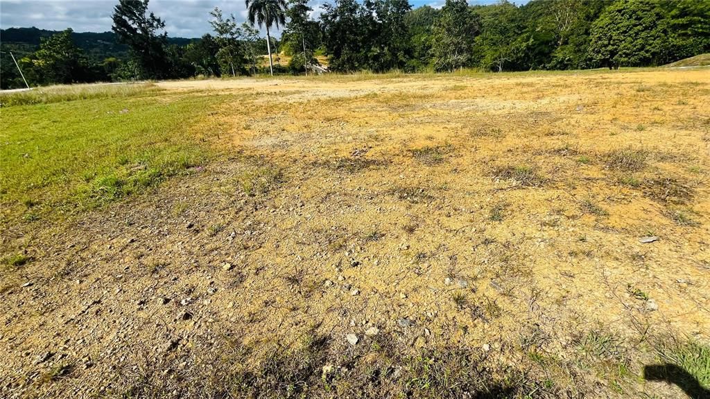 En Venta: $85,000 (0.02 acres)