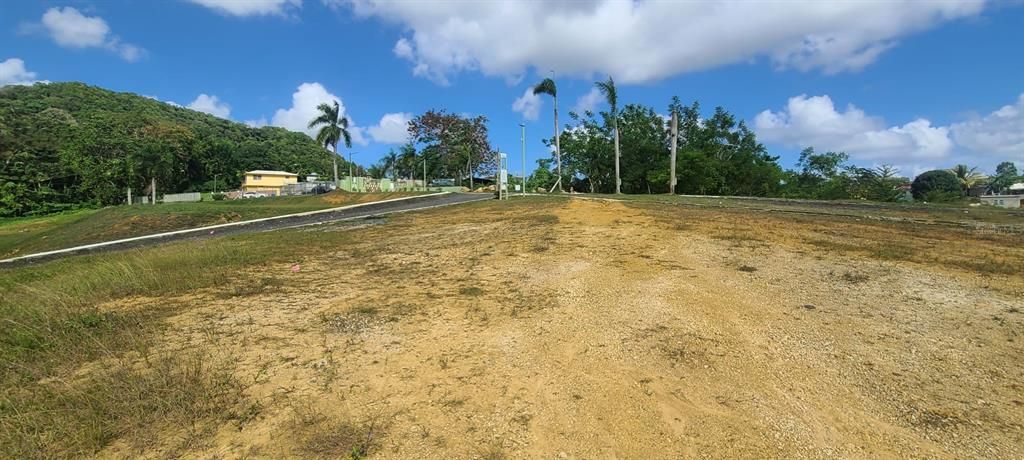 En Venta: $85,000 (0.02 acres)