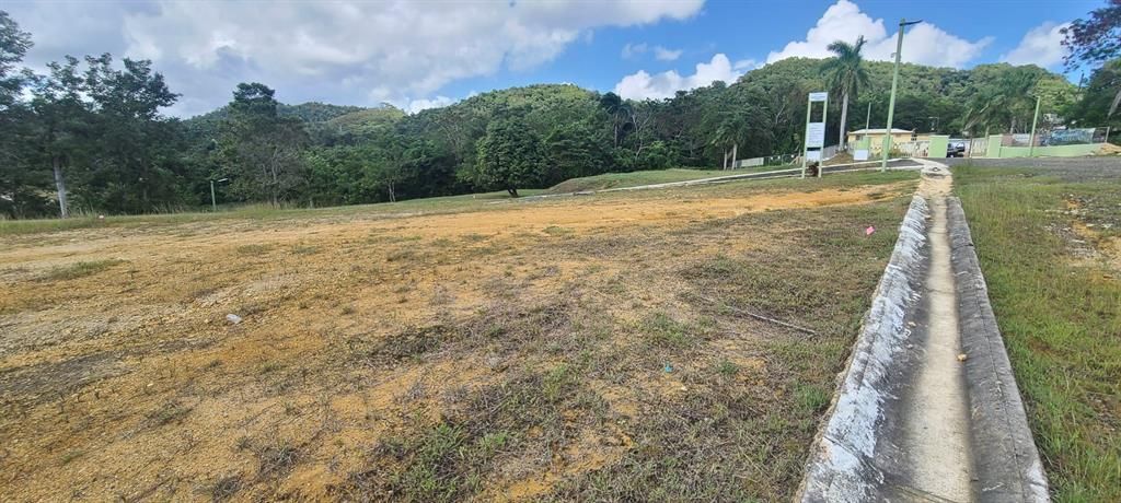 En Venta: $85,000 (0.02 acres)