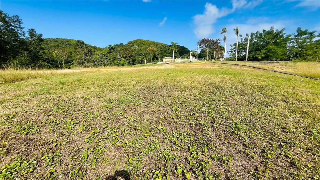 En Venta: $85,000 (0.02 acres)