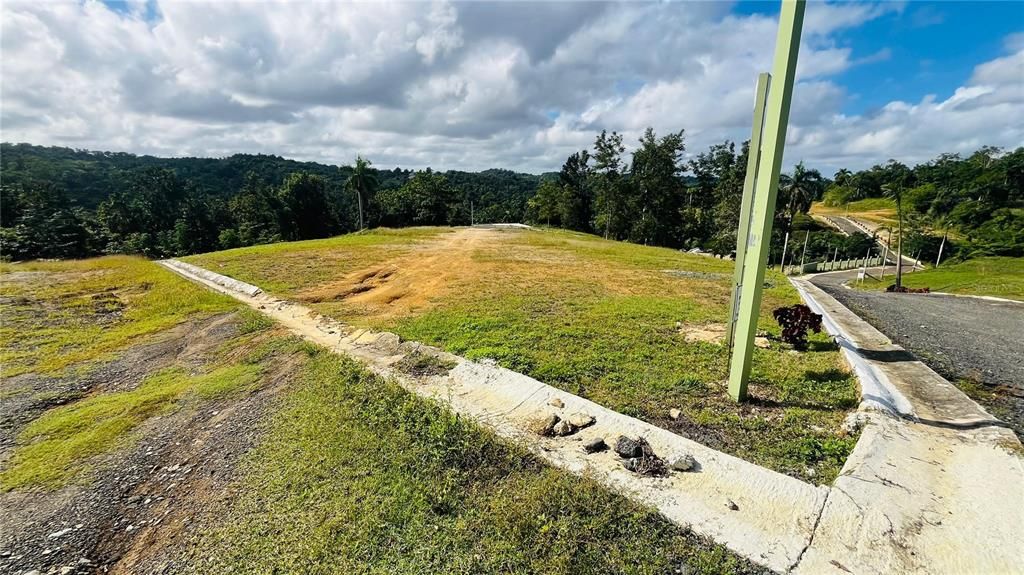 En Venta: $85,000 (0.02 acres)