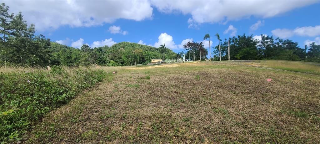 En Venta: $85,000 (0.02 acres)