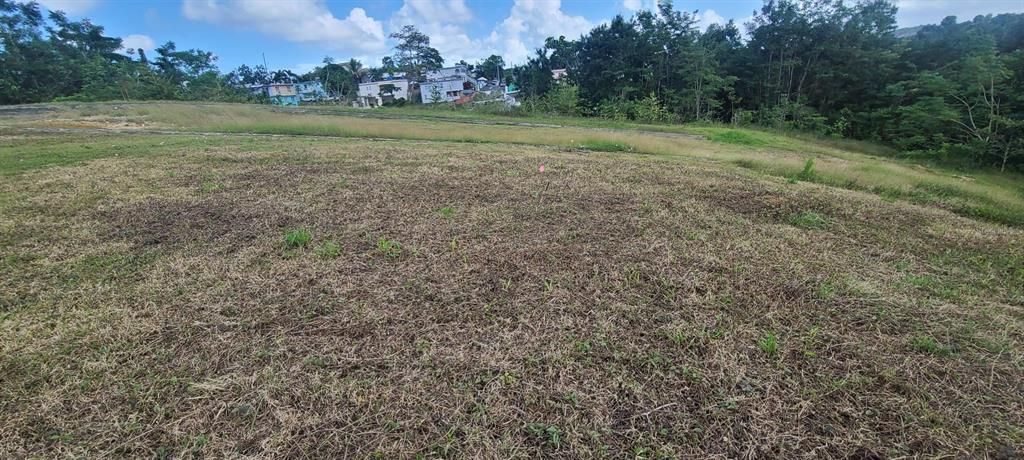 En Venta: $85,000 (0.02 acres)