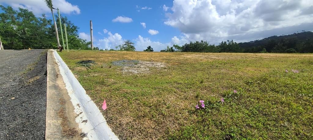 En Venta: $85,000 (0.02 acres)