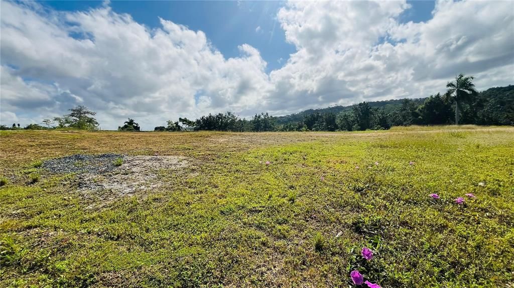 En Venta: $85,000 (0.02 acres)