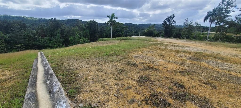 En Venta: $85,000 (0.02 acres)