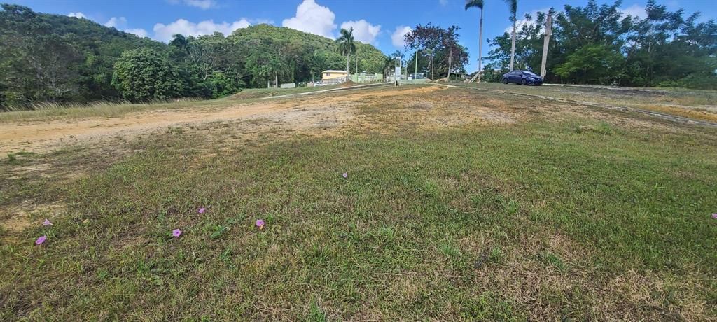 En Venta: $85,000 (0.02 acres)