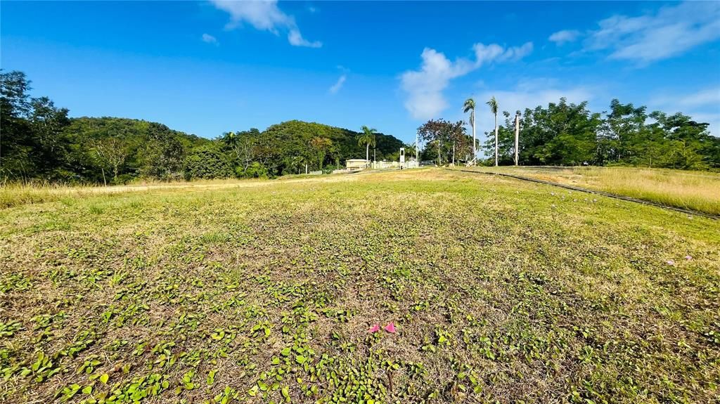 En Venta: $85,000 (0.02 acres)