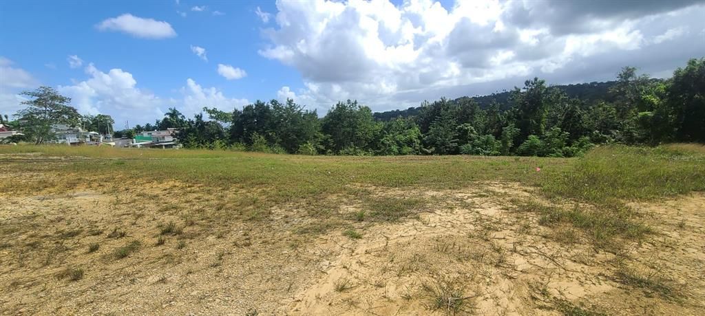 En Venta: $85,000 (0.02 acres)