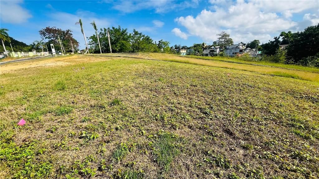 En Venta: $85,000 (0.02 acres)