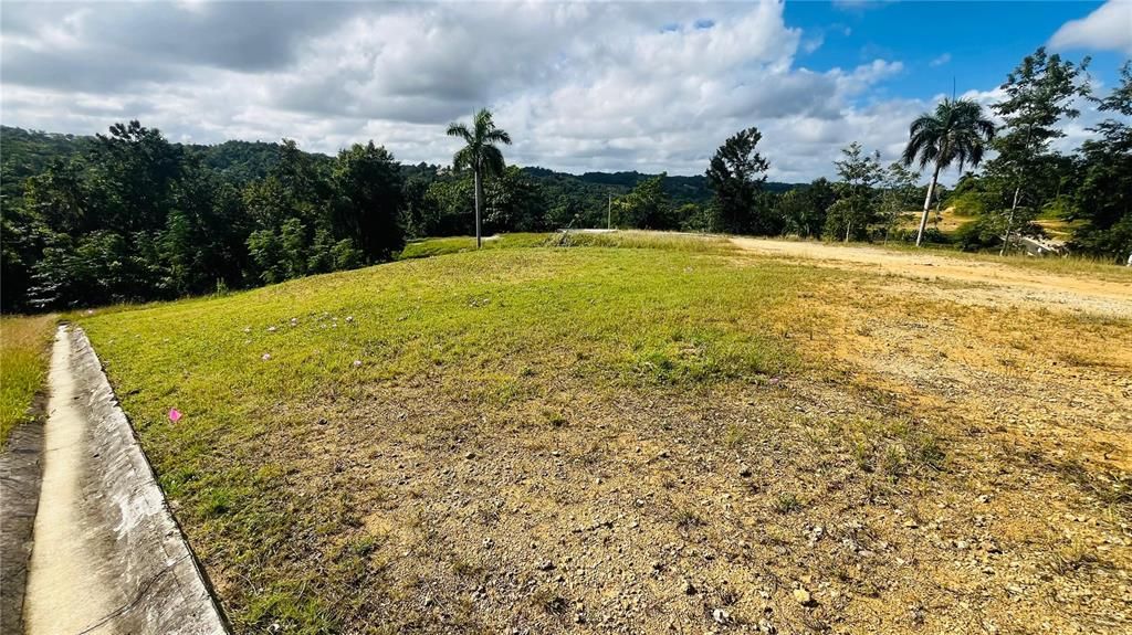 En Venta: $85,000 (0.02 acres)