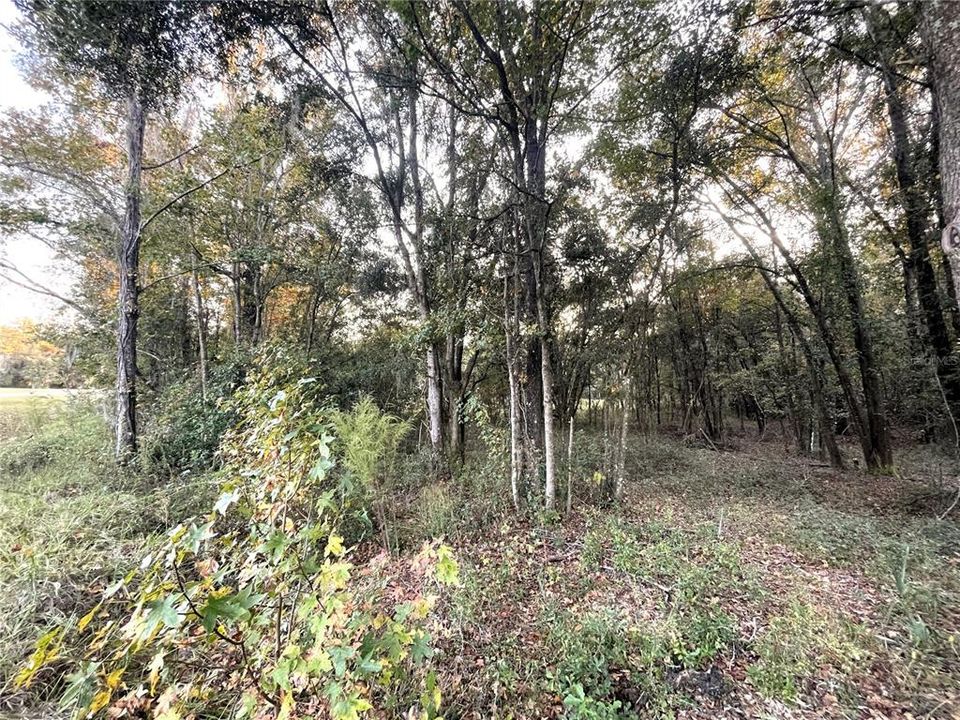 待售: $120,000 (3.15 acres)