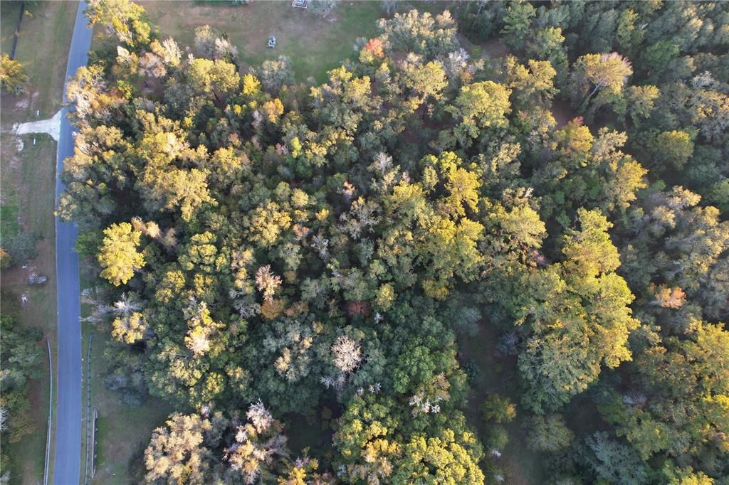 待售: $120,000 (3.15 acres)