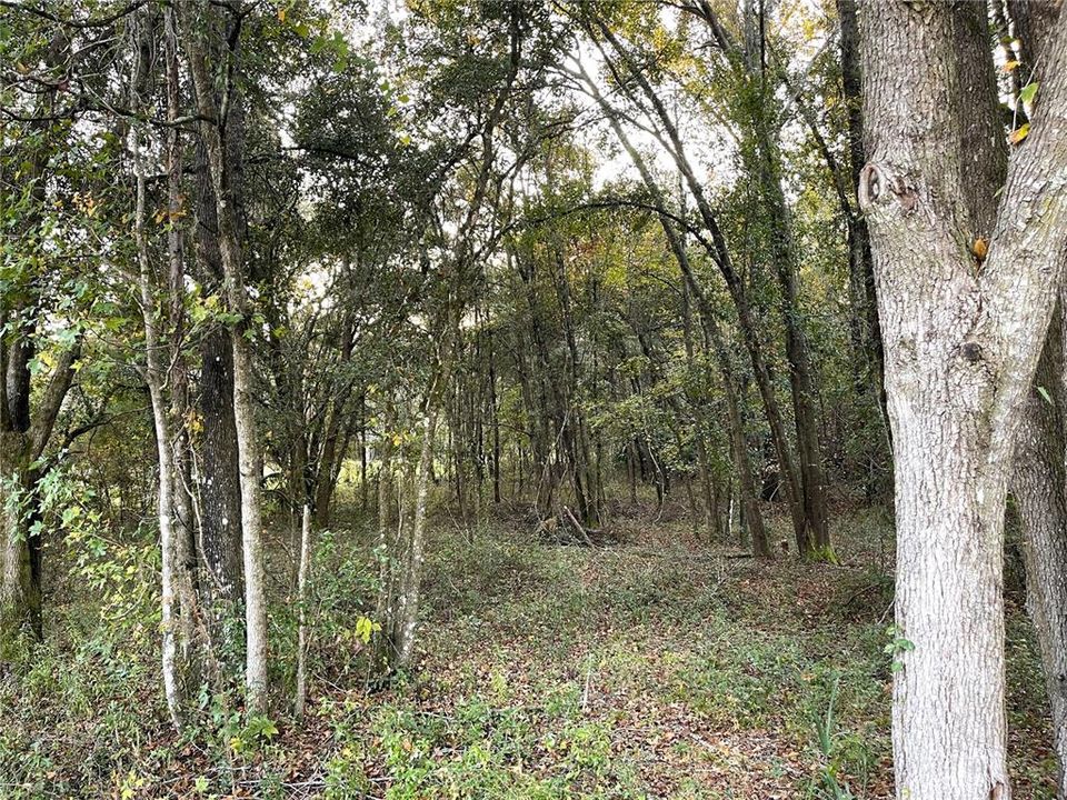 待售: $120,000 (3.15 acres)