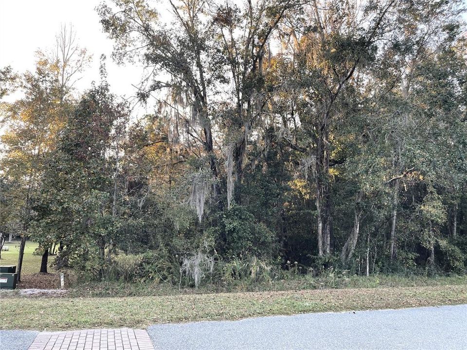 待售: $120,000 (3.15 acres)