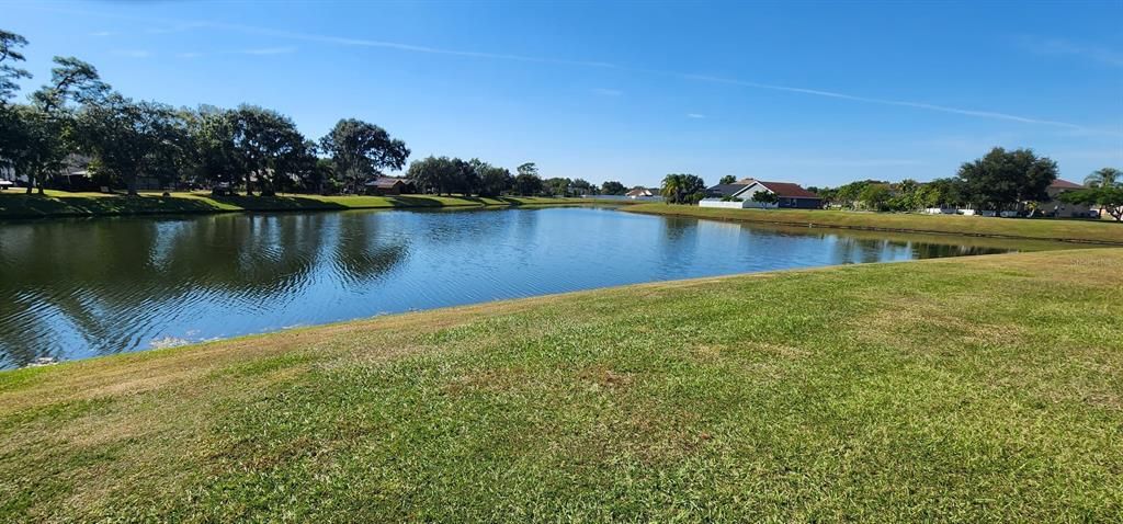 出租: $2,300 (4 贝兹, 2 浴室, 1694 平方英尺)