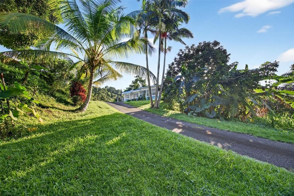 For Sale: $498,500 (4 beds, 2 baths, 1882 Square Feet)