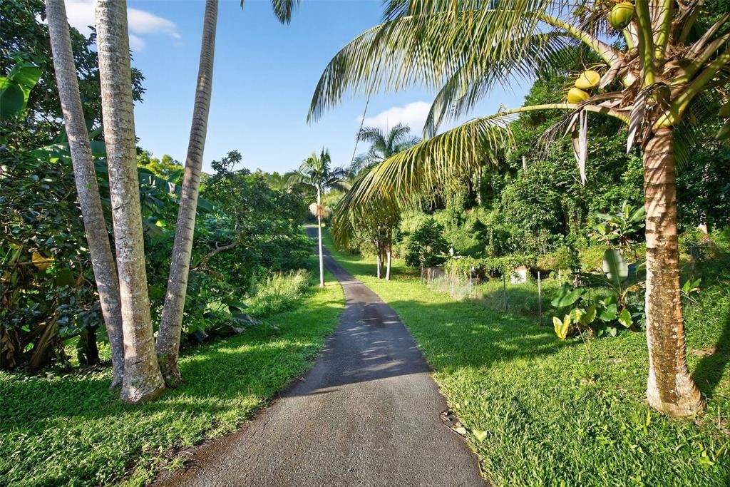 For Sale: $498,500 (4 beds, 2 baths, 1882 Square Feet)