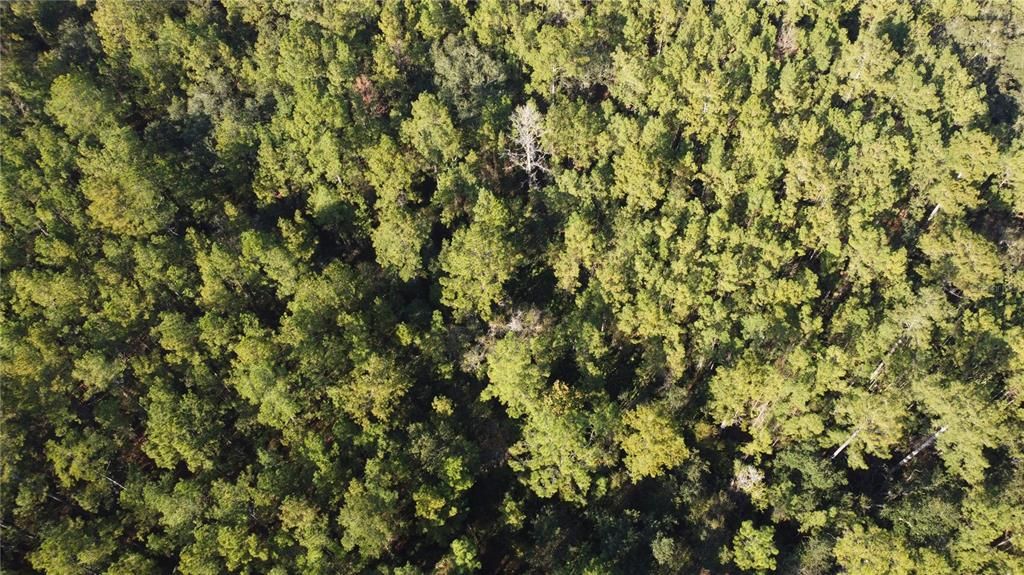 En Venta: $350,000 (10.14 acres)