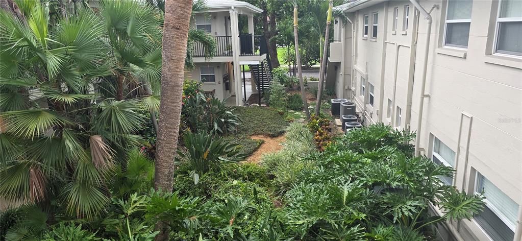 出租: $1,450 (1 贝兹, 1 浴室, 498 平方英尺)